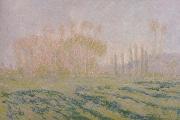 Claude Monet Meadow with Poplars painting